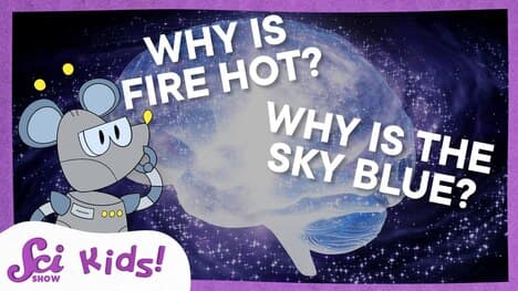 Your Most Epic Questions Answered! | SciShow Kids Compilation