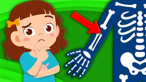 Learn About The Funny Bone!