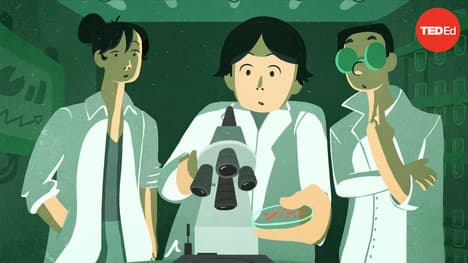 TED-Ed: Meet the microbes that could eat your trash | Tierney Thys and Christian Sardet