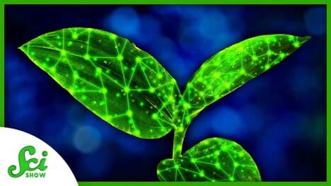 Making Plants High-Tech With Artificial Neurons | SciShow News