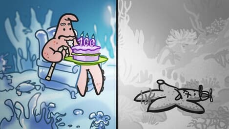 The Antarctic Ocean is Weird