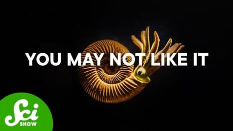 This Is The Best Predator Defense Of All Time