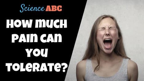 Max Pain: How Much Pain Can A Person Take?