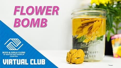 DIY Project: Make A Biodegradable Flower Bomb