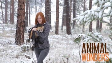 Training #2: Operant Conditioning