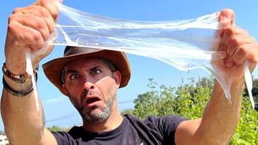 Yuck! What Creature Made this Slime?!