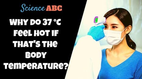 If Our Body Temperature is 37° C, Why Do We Feel Hot When it’s 37° C Outside?