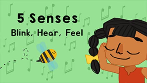Singing About Senses