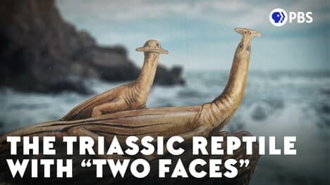 The Triassic Reptile With