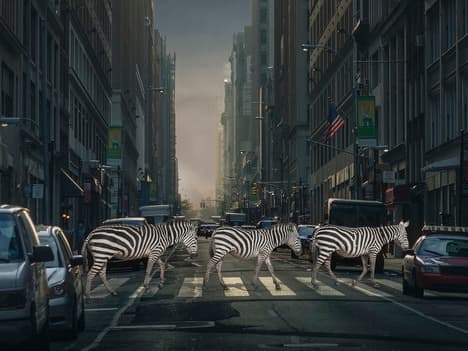 Optimism: A Recipe for Success