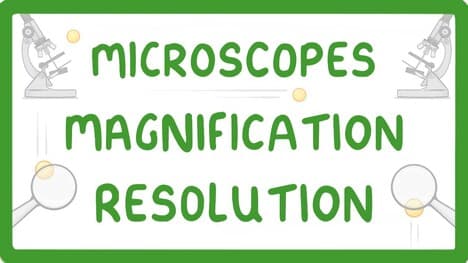 GCSE Biology - What is Microscopy? #5