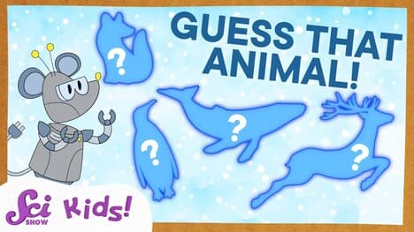 Guess That Animal: Winter Edition | SciShow Kids Compilation