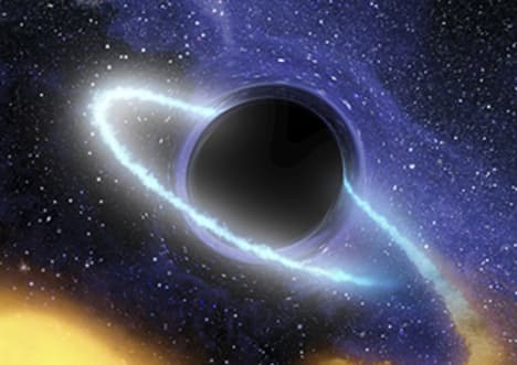 Black Holes
