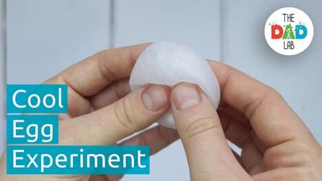 Science Experiment: Empty Eggshells in Vinegar