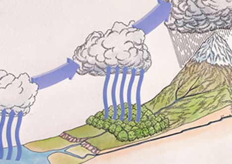 The Water Cycle