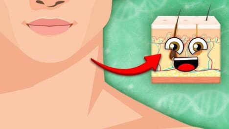 Your Skin Is The LARGEST Organ In Your Body! | Human Skin Song | KLT Anatomy