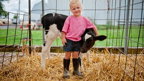 The Importance of Acceptance