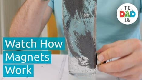 Science Experiment: Magnetic Field