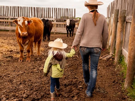 Kindness: Lessons from Ella the Elephant