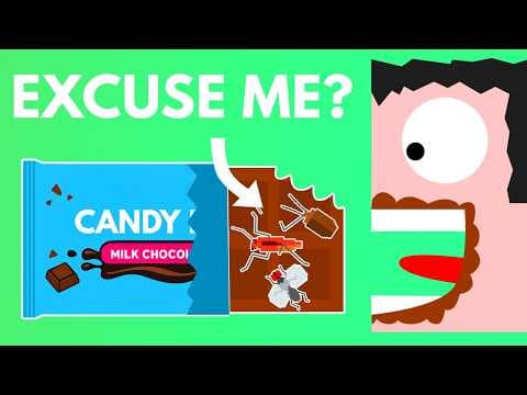 Do You Enjoy The Bugs In Your Chocolate? 🐜🍫 - YouTube