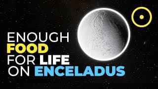 Enceladus Has Enough Food For Life