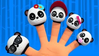 Baby Bao Panda Finger Family | Baby Songs For Childrens And Kids