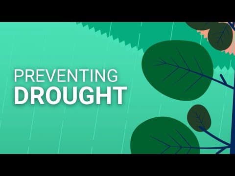 How do healthy ecosystems help protect us from droughts, heatwaves, and flooding.