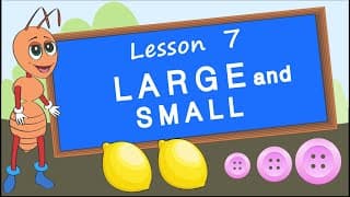 Comparison. Lesson 7. Large and small, similar and different. Educational video for children