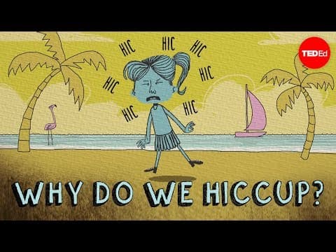 Why do we hiccup? - john cameron
