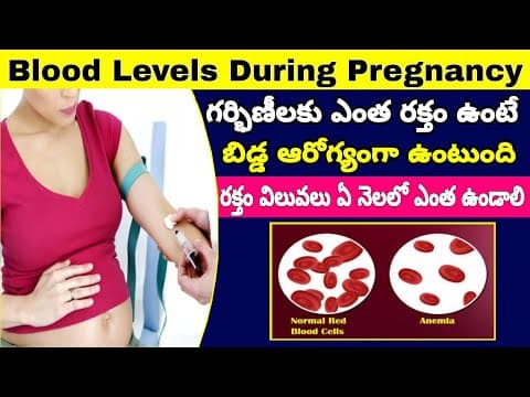 గర్భిణీలకు HB Levels ఎంత ఉండాలి? | How to Increase Hemoglobin Levels During Pregnancy | HB Levels