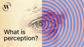 Perception, explained