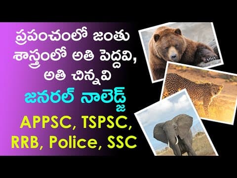 List of Biggest and Smallest Animals, Birds in the World in Telugu