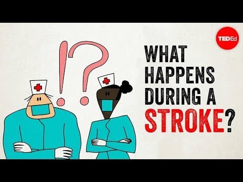 What happens during a stroke? - Vaibhav Goswami - YouTube