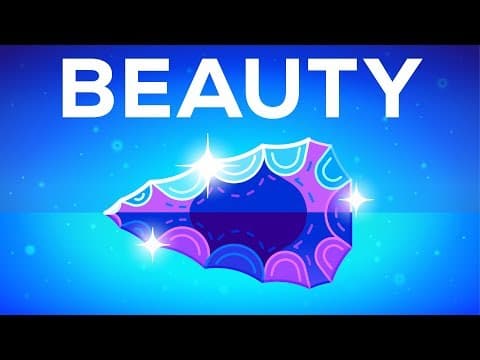 Why beautiful things make us happy – beauty explained