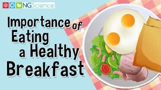 Importance of Eating a Healthy Breakfast