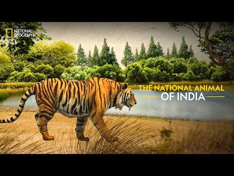 The National Animal of India | Know Your Country | हिन्दी | National Geographic
