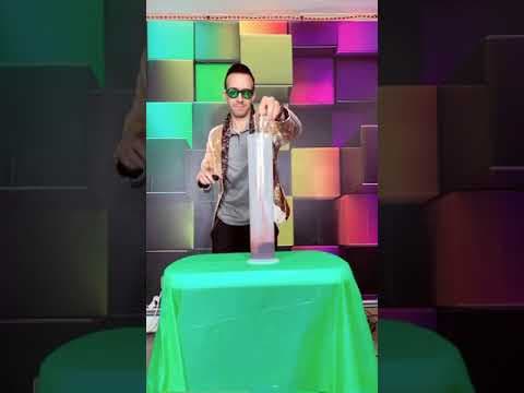 Elephants toothpaste 2  - shorts