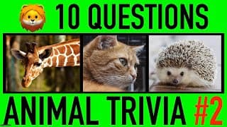 Animals General Knowledge Trivia Quiz