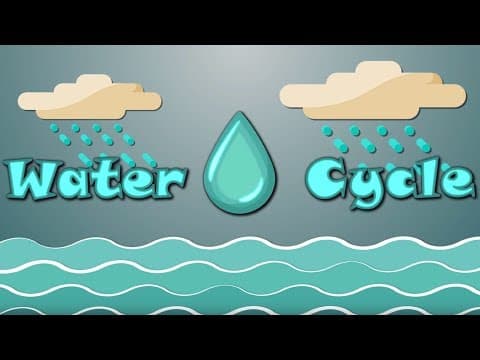 Water Cycle Facts for Kids - Water Cycle Process - Water Cycle for Kids - What is the Water Cycle?
