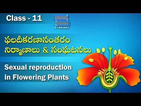 Sexual reproduction in flowering Plants | Post Fertilization in plants | Structures and events