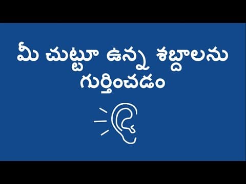 మీ చుట్టూ ఉన్న శబ్దాలను గుర్తించడం - Identifying Sounds Around You (Telugu)