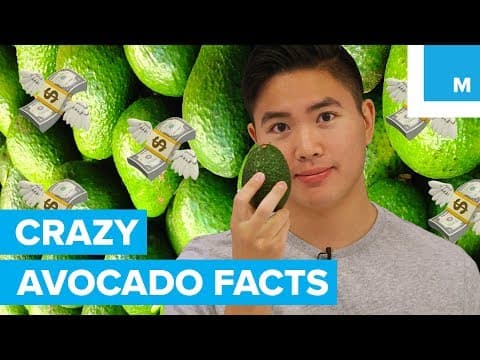 9 Mind-Blowing Facts About the Avocado - Sharp Science