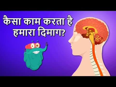 हाउ यूर ब्रेन वर्क्स? | कैसा काम करता है हमारा दिमाग? | How Your Brain Works In Hindi | Dr.Binocs