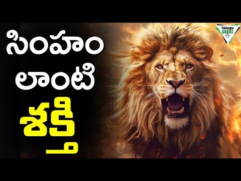 సింహం లాంటి శక్తి ని ఇచ్చే 4 మాటలు | The ROARING LAMBS book summary
