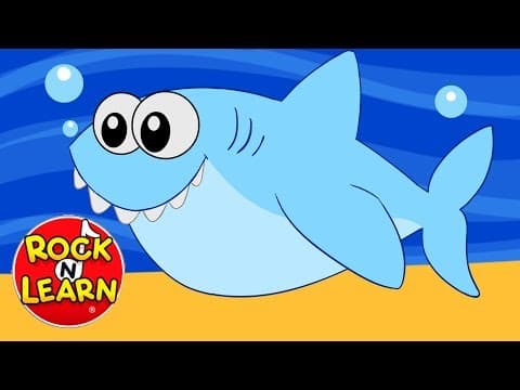 Baby Shark Song for Kids
