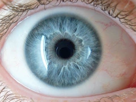 What color is a mirror?