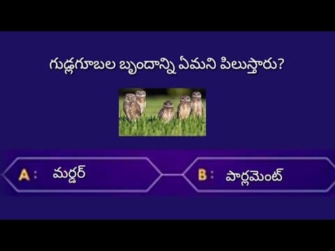 Interesting Questions and Answers in Telugu|Unknown facts|Telugu General knowledge