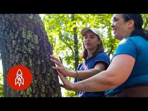 Braille trails helping the visually impaired experience nature