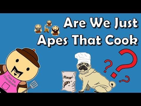 Did cooking make us smart?