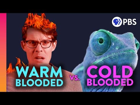 Why Are We Warm-Blooded? - YouTube